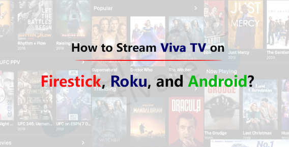 Stream Viva TV